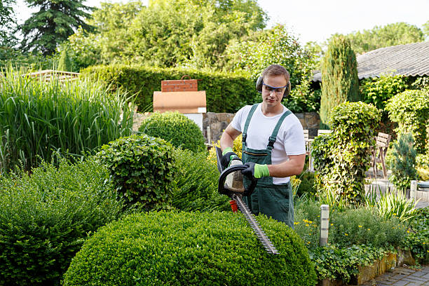 Lubbers & Sons Tree Care
